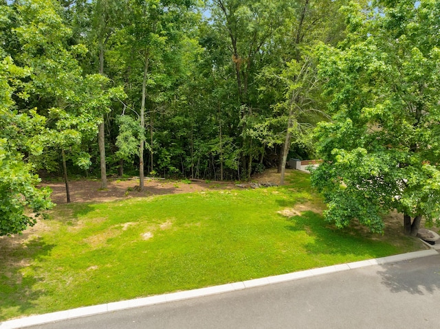 0 Roundtree Ct, Flintstone, GA 30725