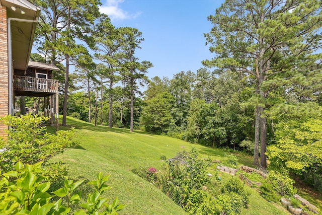 1008 Panorama Dr, Chattanooga, TN 37421 - view of grassy yard