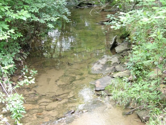06 Hughes Cemetery Rd, Evensville, TN 37332 - photo 2