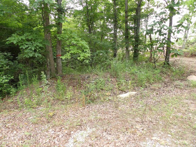 06 Hughes Cemetery Rd, Evensville, TN 37332 - photo 3