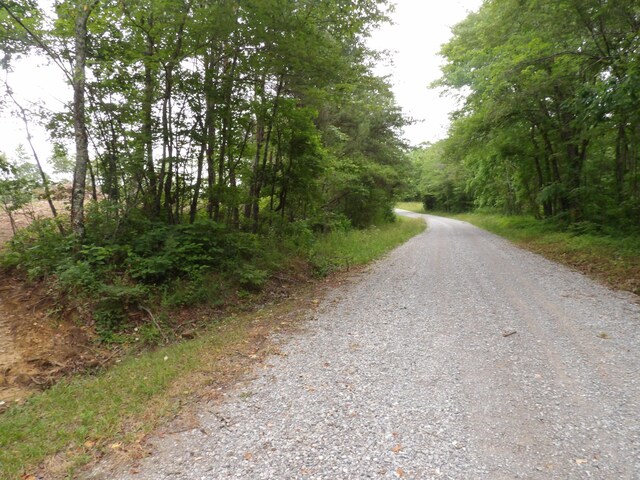 06 Hughes Cemetery Rd, Evensville, TN 37332 - photo 19