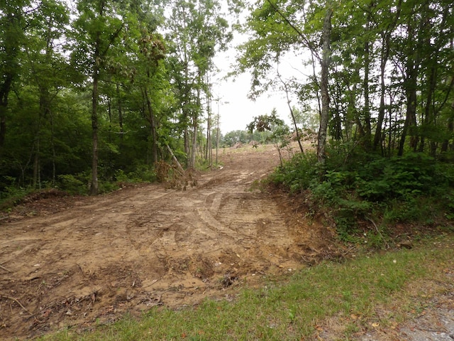 06 Hughes Cemetery Rd, Evensville, TN 37332 - photo 1