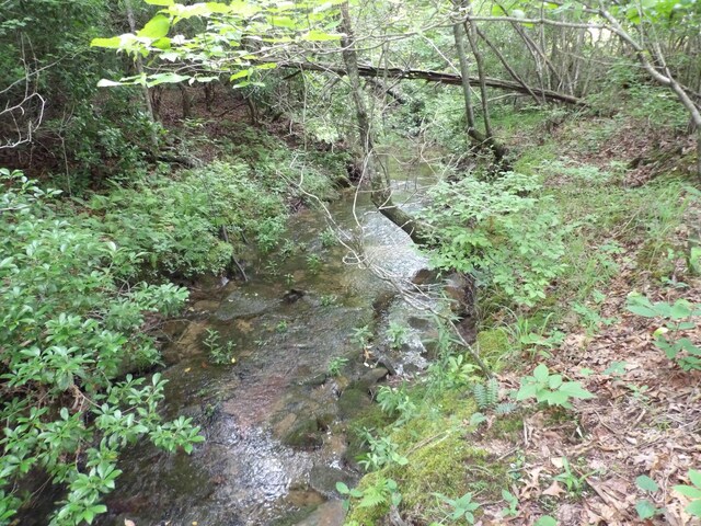06 Hughes Cemetery Rd, Evensville, TN 37332 - photo 5