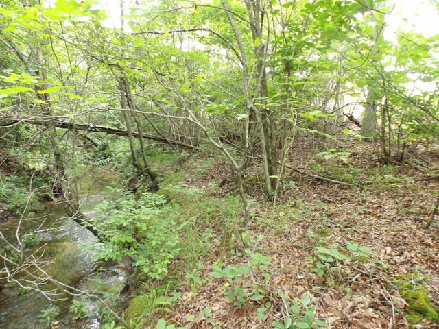 06 Hughes Cemetery Rd, Evensville, TN 37332 - photo 6