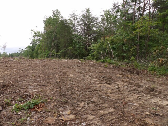 06 Hughes Cemetery Rd, Evensville, TN 37332 - photo 7
