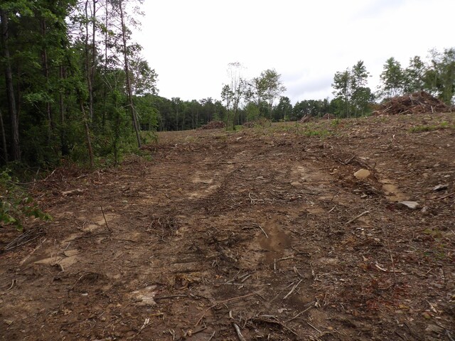 06 Hughes Cemetery Rd, Evensville, TN 37332 - photo 8
