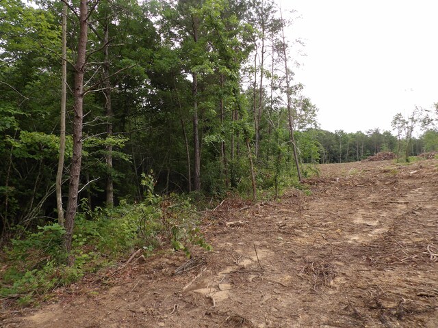 06 Hughes Cemetery Rd, Evensville, TN 37332 - photo 9
