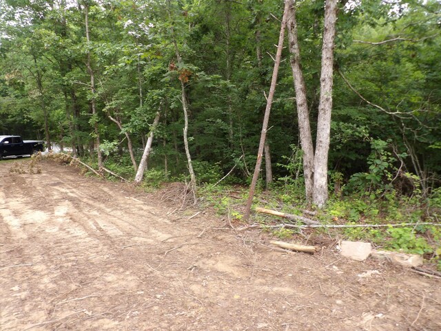 06 Hughes Cemetery Rd, Evensville, TN 37332 - photo 10