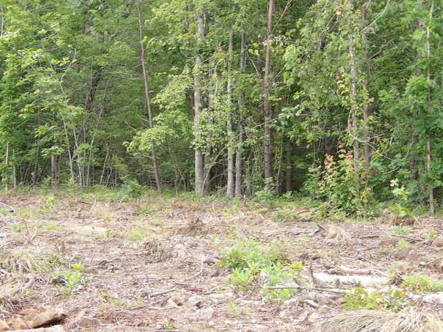 06 Hughes Cemetery Rd, Evensville, TN 37332 - photo 12