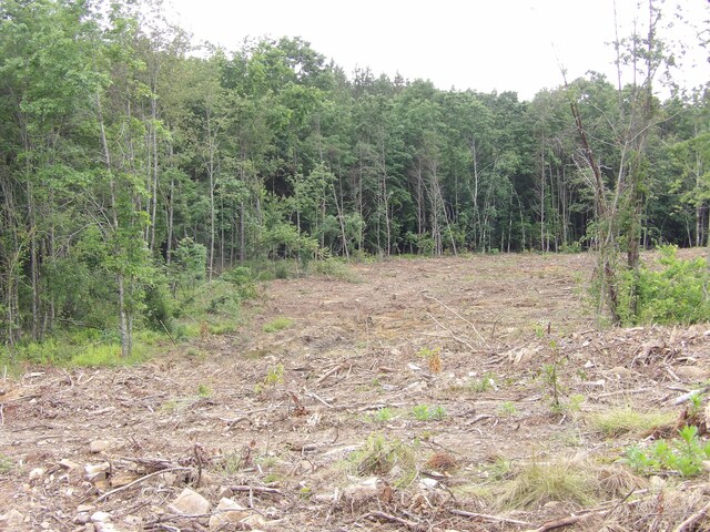 06 Hughes Cemetery Rd, Evensville, TN 37332 - photo 13