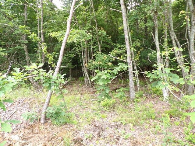 06 Hughes Cemetery Rd, Evensville, TN 37332 - photo 16