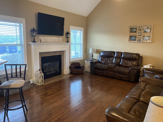 151 Holly Oak Ln, Ringgold, GA 30736 - living room with wood finished floors, vaulted ceiling, healthy amount of natural light, and a fireplace