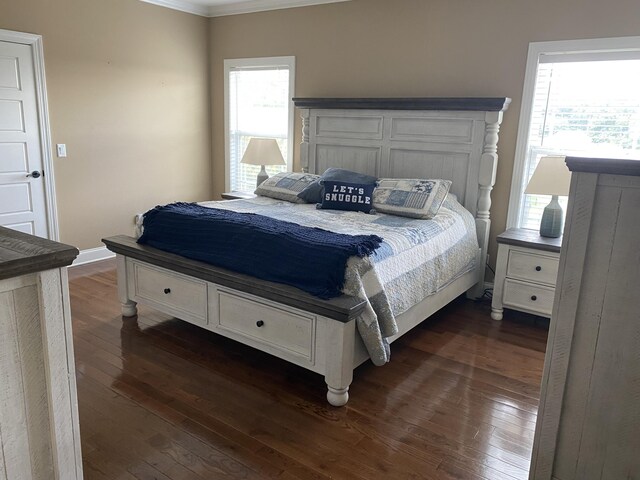 151 Holly Oak Ln, Ringgold, GA 30736 - bedroom featuring ornamental molding, dark wood-style flooring, and multiple windows