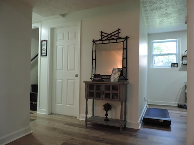 87 Lawrence Dr, Ringgold, GA 30736 - corridor with wood finished floors and a textured ceiling