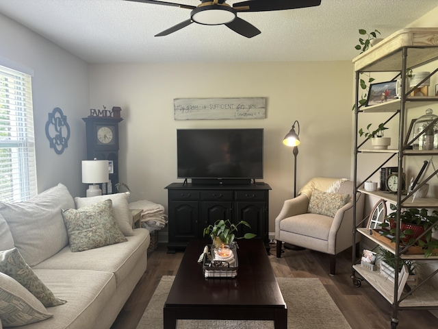 87 Lawrence Dr, Ringgold, GA 30736 - living room featuring a ceiling fan, dark wood-style floors, and a textured ceiling