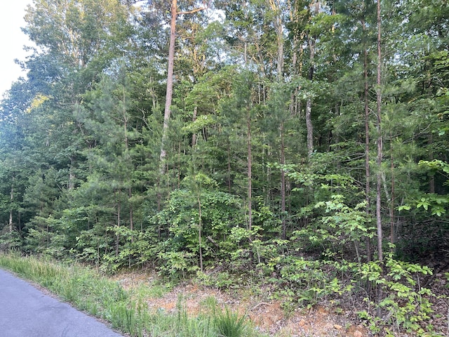 0 Wohalie Ln Unit 45/45A, South Pittsburg, TN 37380