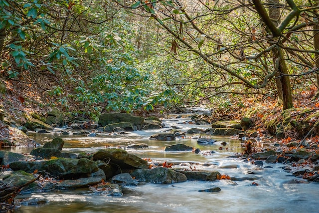 0 Long Branch Rd Lot 19, Rising Fawn, GA 30738
