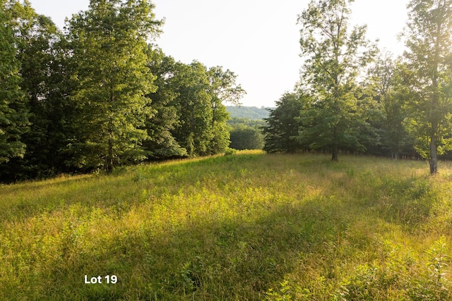 0 Long Branch Rd Lot 19, Rising Fawn, GA 30738