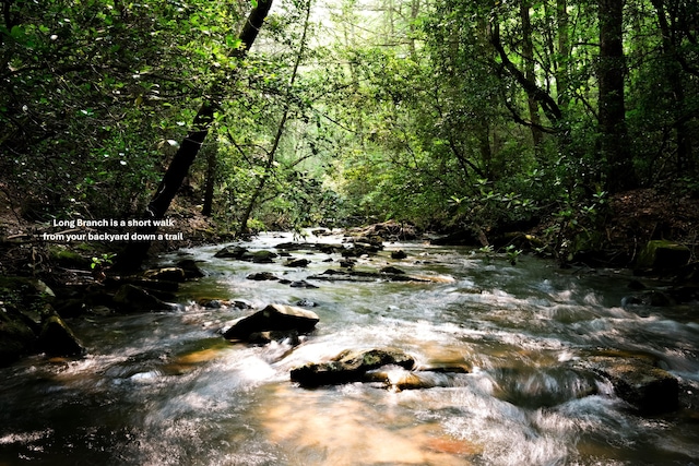 0 Long Branch Rd Lot 19, Rising Fawn, GA 30738