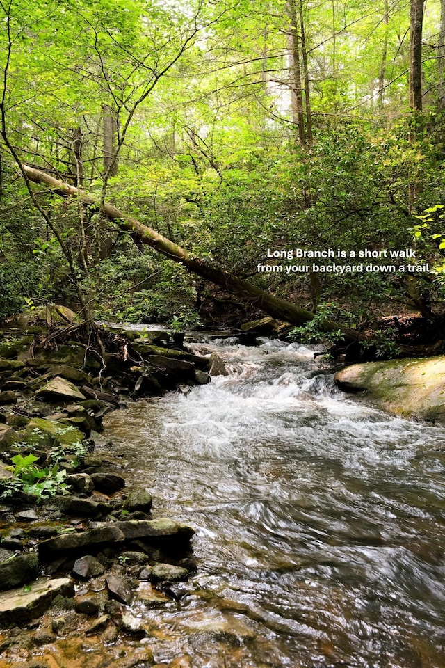 0 Long Branch Rd Lot 19, Rising Fawn, GA 30738
