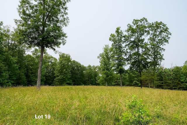 0 Long Branch Rd Lot 19, Rising Fawn, GA 30738