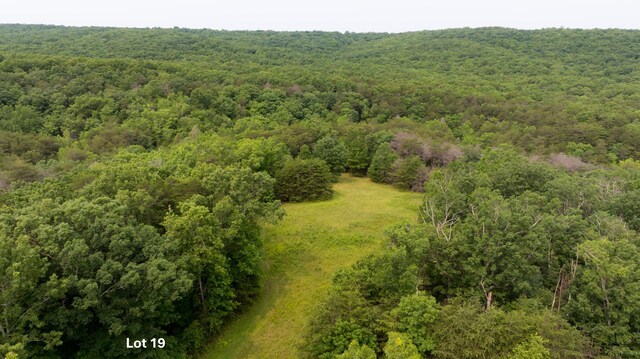 0 Long Branch Rd Lot 19, Rising Fawn, GA 30738
