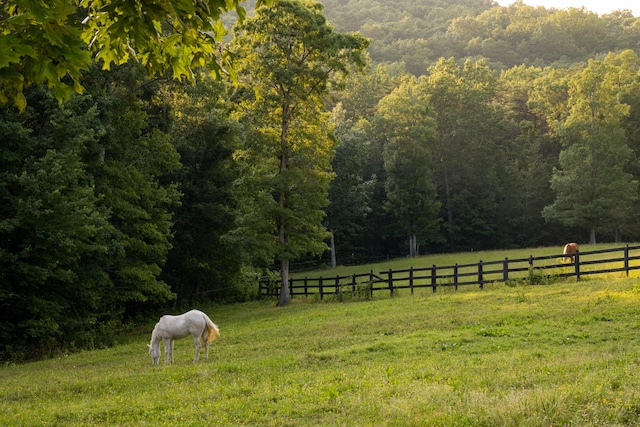 0 Long Branch Rd Lot 19, Rising Fawn, GA 30738