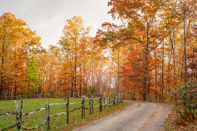 0 Long Branch Rd Lot 19, Rising Fawn, GA 30738