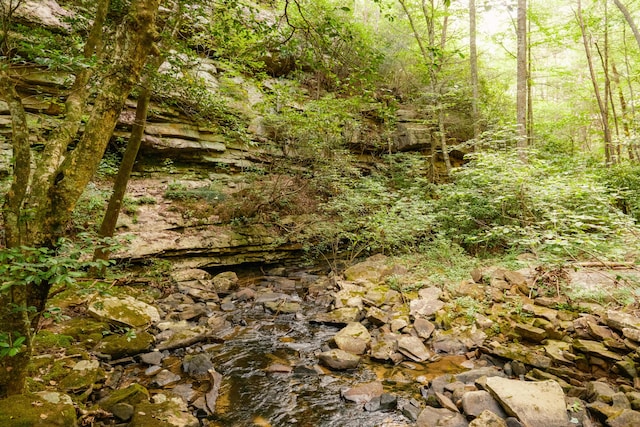 0 Long Branch Rd Lot 19, Rising Fawn, GA 30738