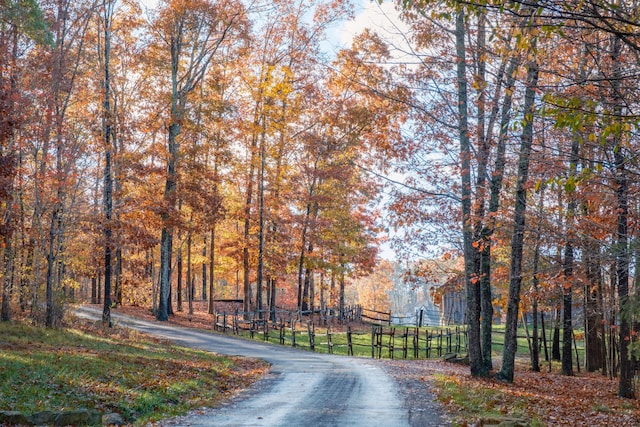 0 Long Branch Rd Lot 19, Rising Fawn, GA 30738