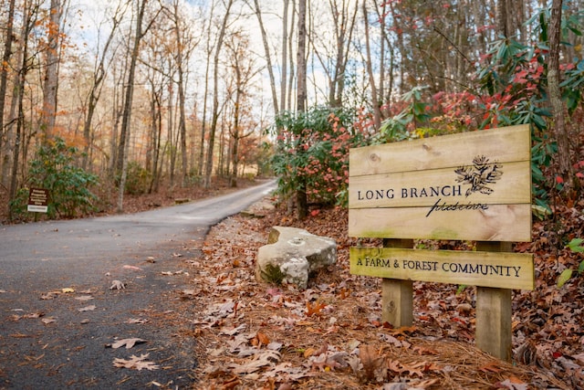 0 Long Branch Rd Lot 19, Rising Fawn, GA 30738