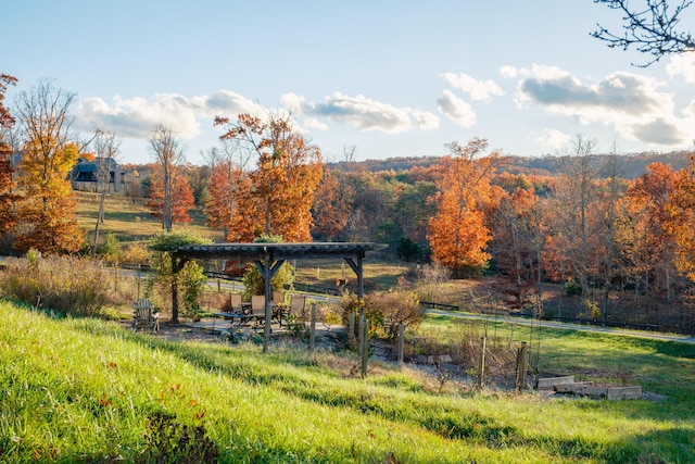 0 Long Branch Rd Lot 19, Rising Fawn, GA 30738