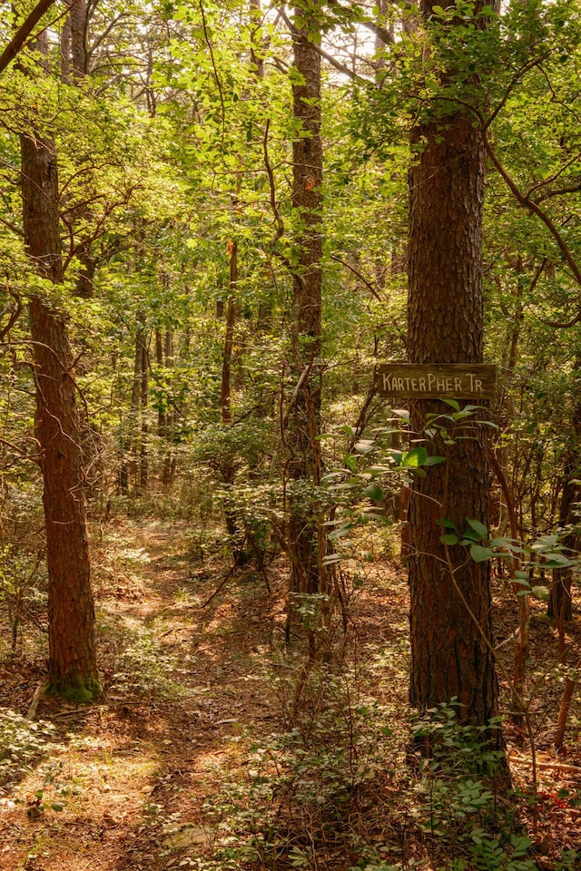0 Long Branch Rd Lot 19, Rising Fawn, GA 30738