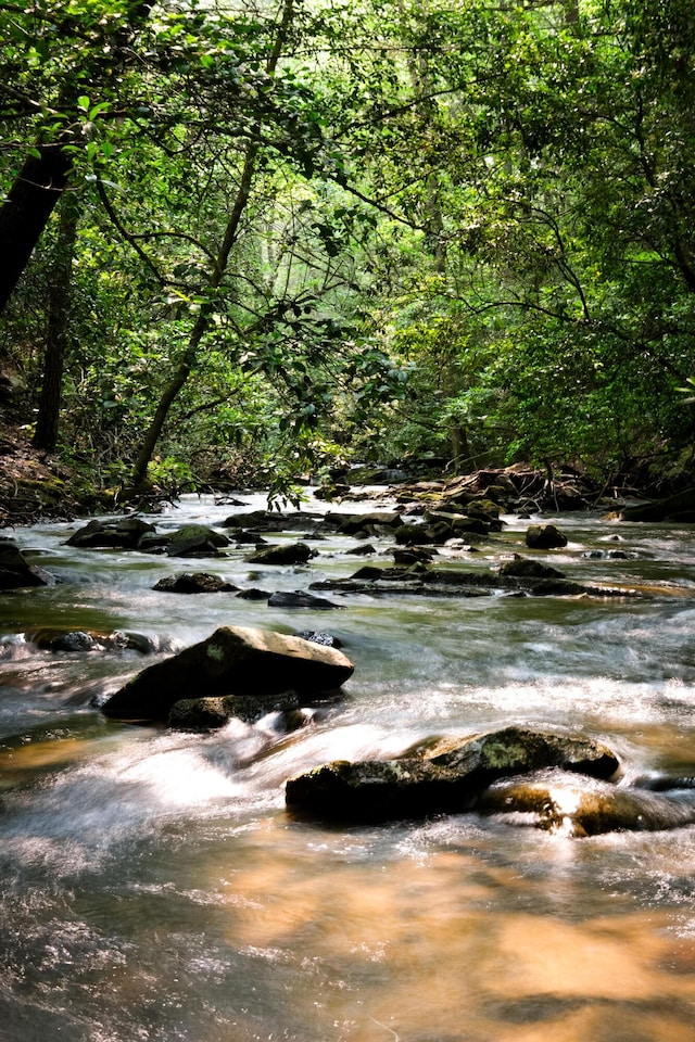 0 Long Branch Rd Lot 19, Rising Fawn, GA 30738