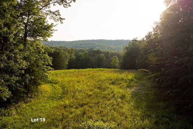 0 Long Branch Rd Lot 19, Rising Fawn, GA 30738