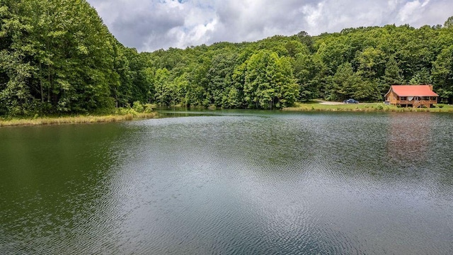 80 Tanya Ln, Dunlap, TN 37327 - water view with a forest