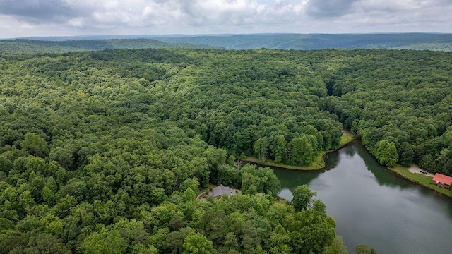 80 Tanya Ln, Dunlap, TN 37327 - aerial view of a heavily wooded area