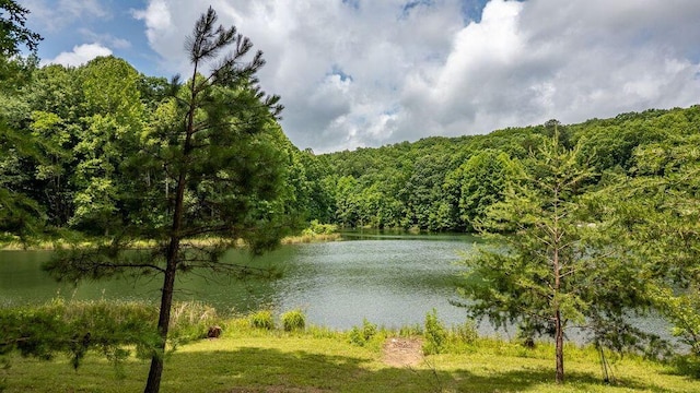 80 Tanya Ln, Dunlap, TN 37327 - water view featuring a forest