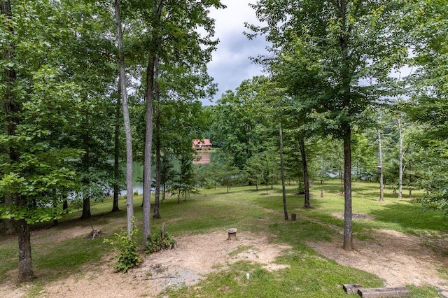 80 Tanya Ln, Dunlap, TN 37327 - view of green lawn