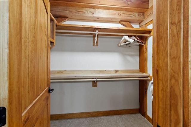 80 Tanya Ln, Dunlap, TN 37327 - view of closet