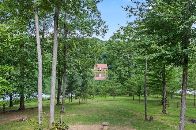 80 Tanya Ln, Dunlap, TN 37327 - photo 69