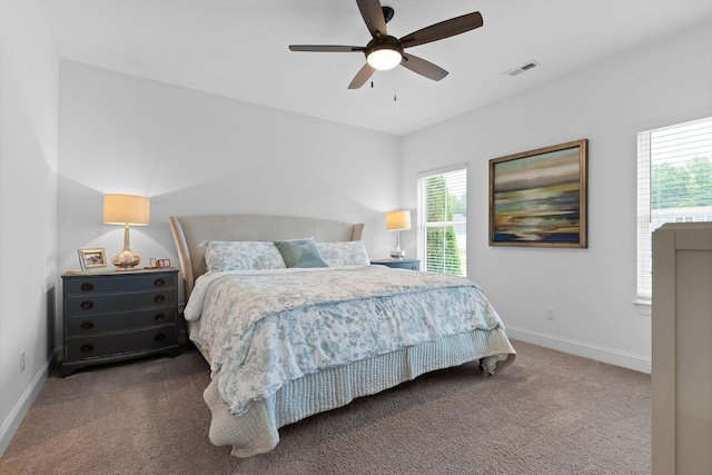 3339 Stone Creek Dr, Chattanooga, TN 37405 - carpeted bedroom with multiple windows and a ceiling fan
