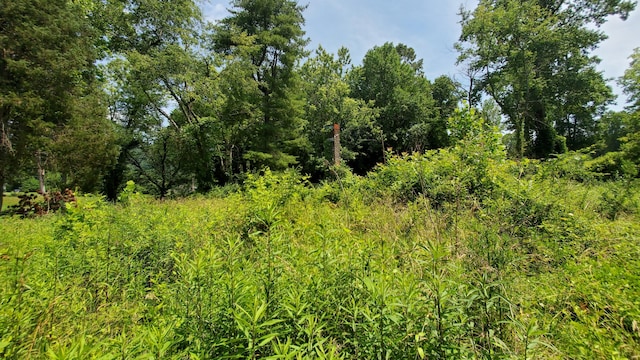 308 W Coffman St, Rockwood, TN 37854