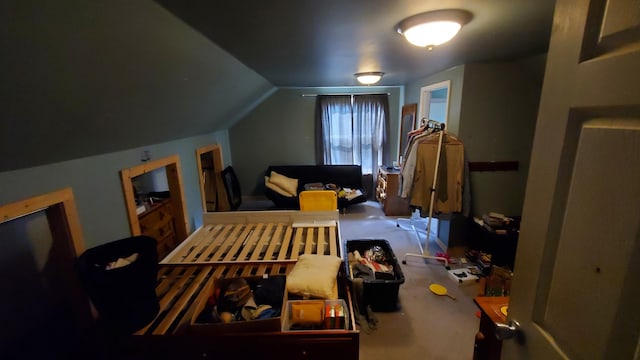 214 E Rhea Ave, Spring City, TN 37381 - additional living space featuring carpet floors and lofted ceiling