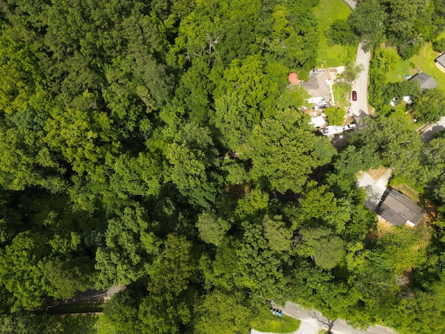 978 Henderson Ave, Chattanooga, TN 37405 - photo 3