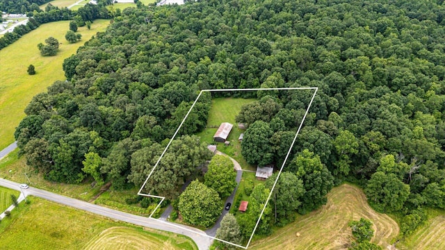395 Robinson Ln, Decatur, TN 37322 - aerial view of property and surrounding area with property boundaries highlighted