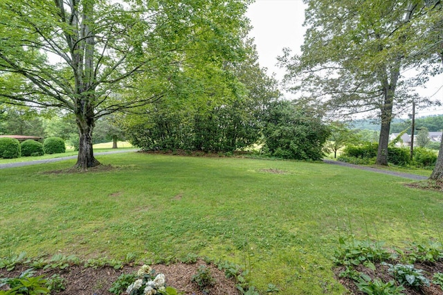 395 Robinson Ln, Decatur, TN 37322 - view of green lawn