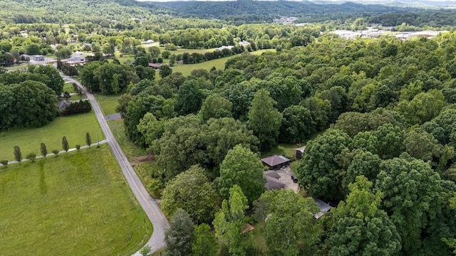 395 Robinson Ln, Decatur, TN 37322 - view of property location featuring a forest