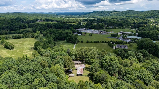 395 Robinson Ln, Decatur, TN 37322 - aerial view of a forest