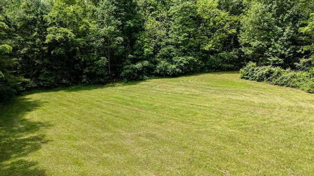 395 Robinson Ln, Decatur, TN 37322 - view of green lawn